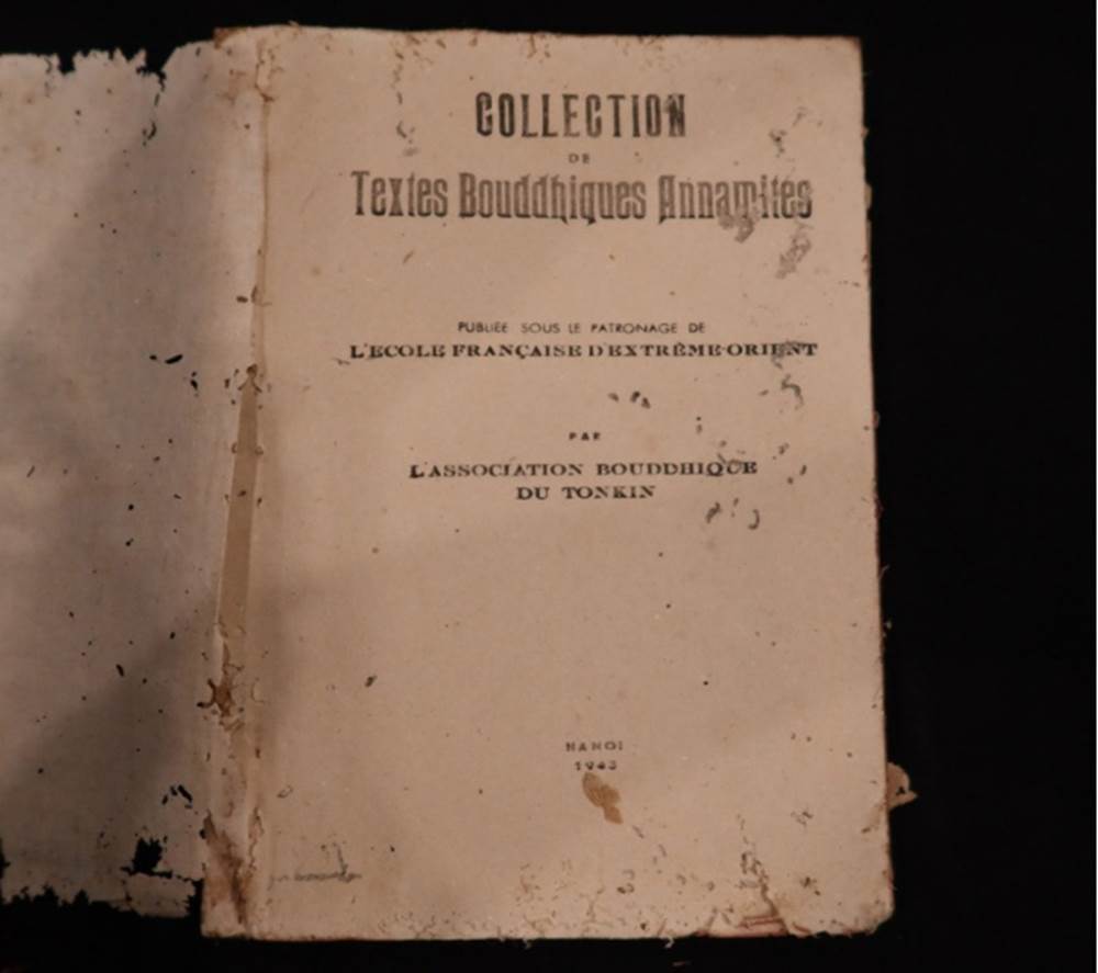 viet-nam-phat-dien-tung-san (7).jpg